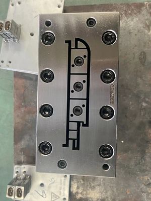 Traitement de surface de polissage par galvanoplastie WPC moule d'extrusion pour cadre de porte OEM WPC