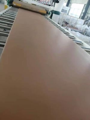 20-40 mm d'épaisseur moule d'extrusion de feuille de carton WPC avec technologie à double manche