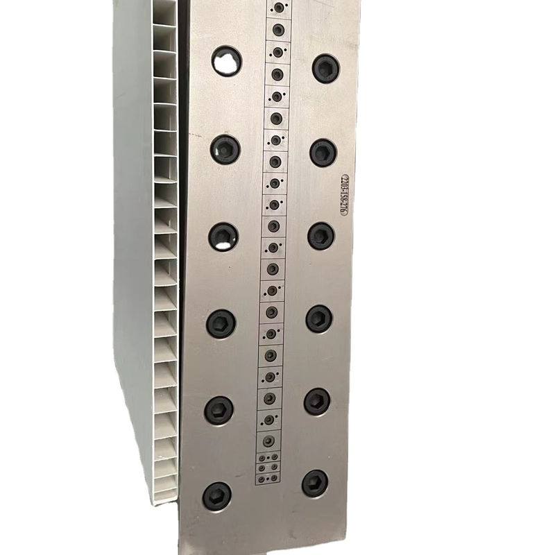 1 calibrateur d'extrusion en plastique en PVC à cavité matrice pour le moule de panneau de porte en PVC en taille personnalisée